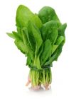 Spinach Fresh 1Kg, IMPA Code:000182