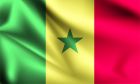 Flag National 4'X 6' Bunting, Senegal, Make:Nautilus, IMPA Code:371166